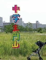 中学生圆山,中学生探索自然奥秘的绿色课堂