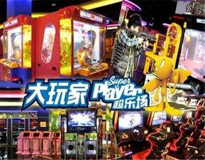 大玩家,揭秘虚拟世界的传奇人生