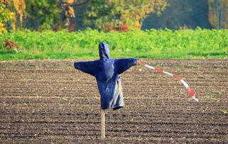 稻草人 2013,穿越时空的奇幻之旅