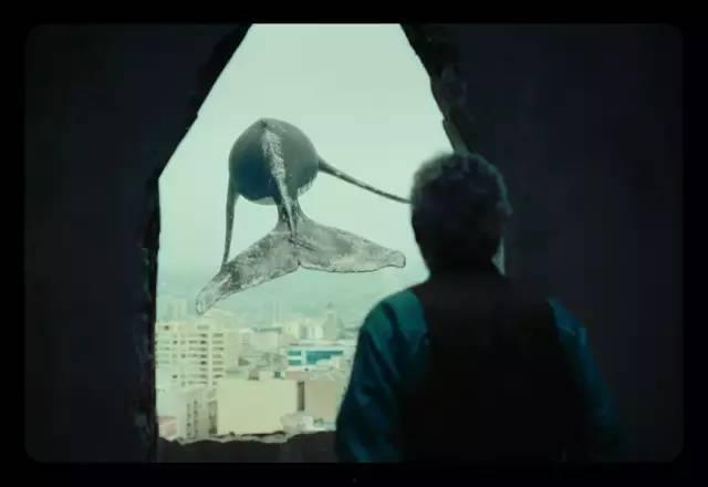 遗忘诗行,记忆之河的涟漪