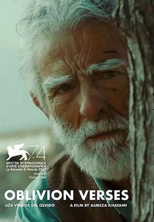 遗忘诗行,记忆之河的涟漪