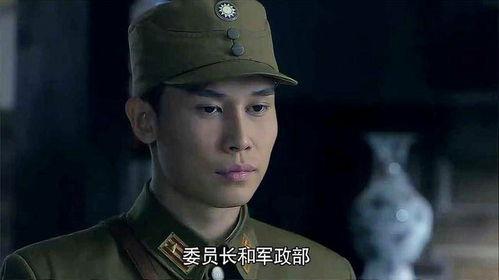 雪豹坚强岁月,岁月磨砺下的坚韧传奇